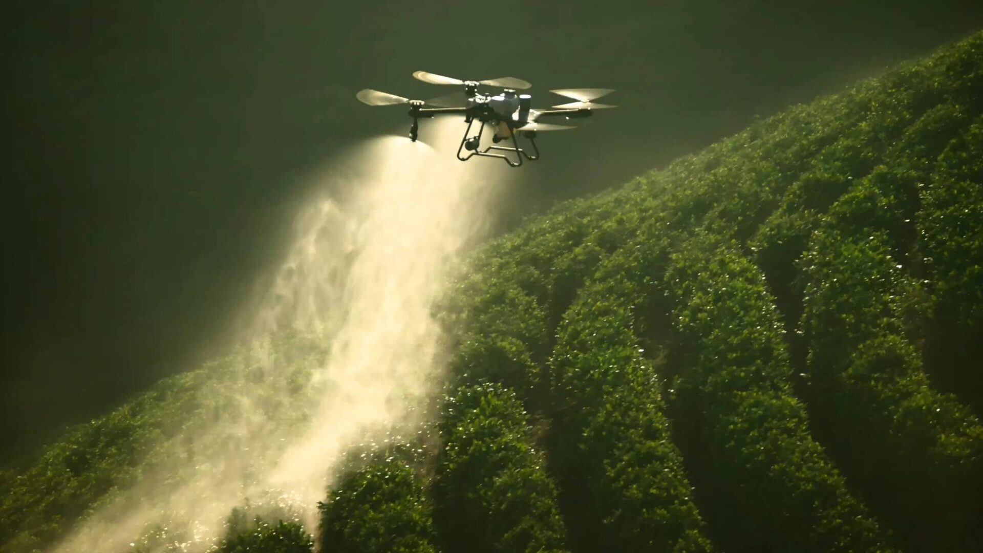 Oprysk uprawy DJI Agras T25 podczas oprysku uprawy na zboczu