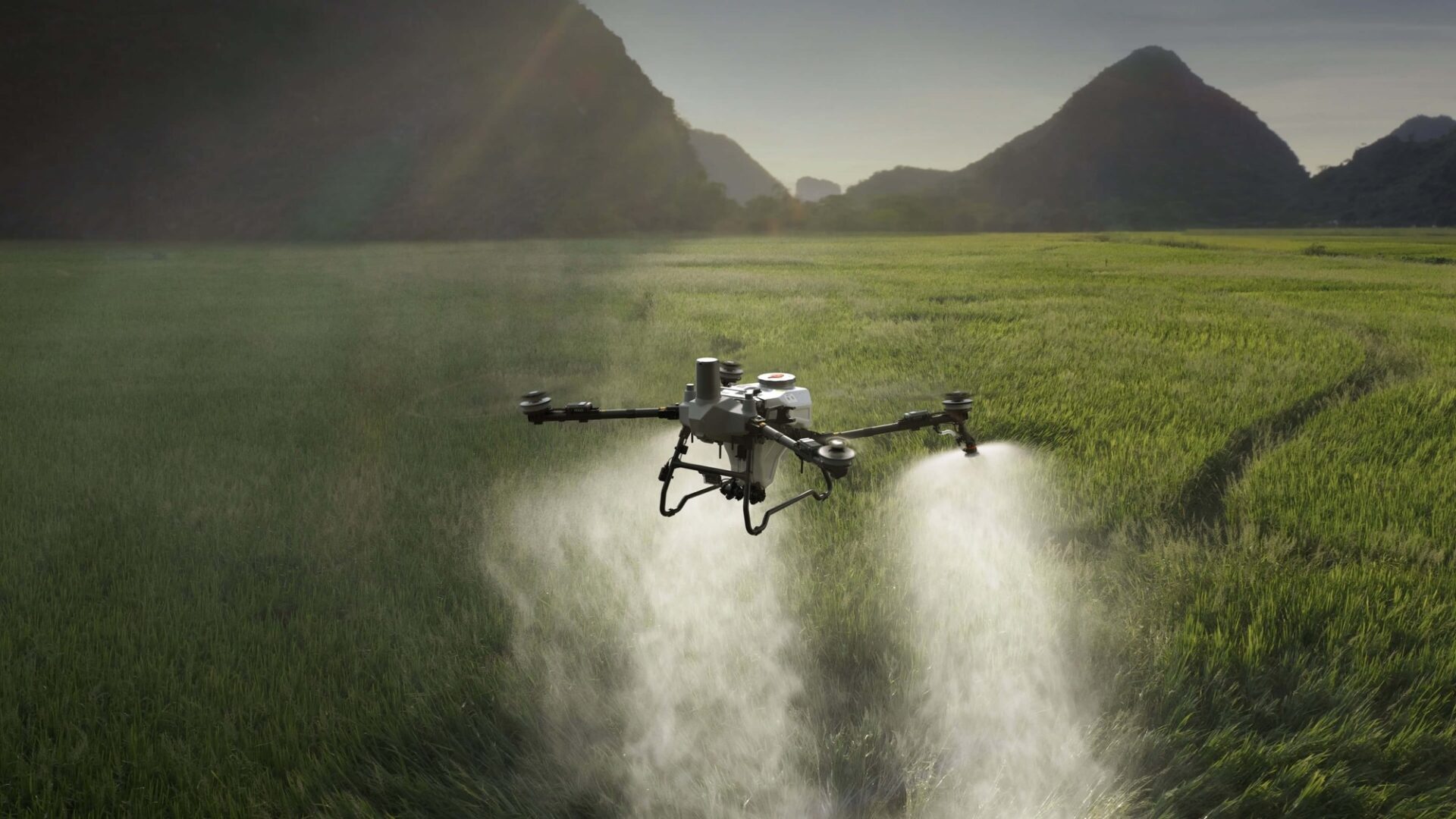 Dron rolniczy DJI Agras T55 podczas oprysku pola