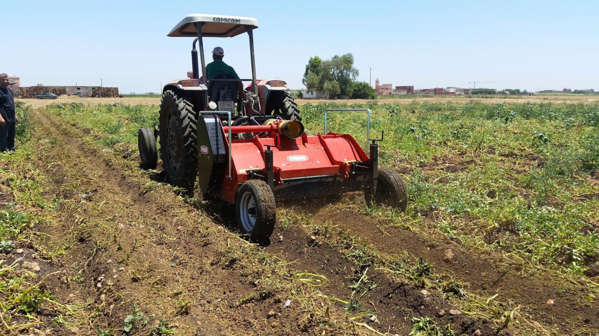 FTP przy pracy Forigo FTP podczas niszczenia natki na plantacji ziemniaków