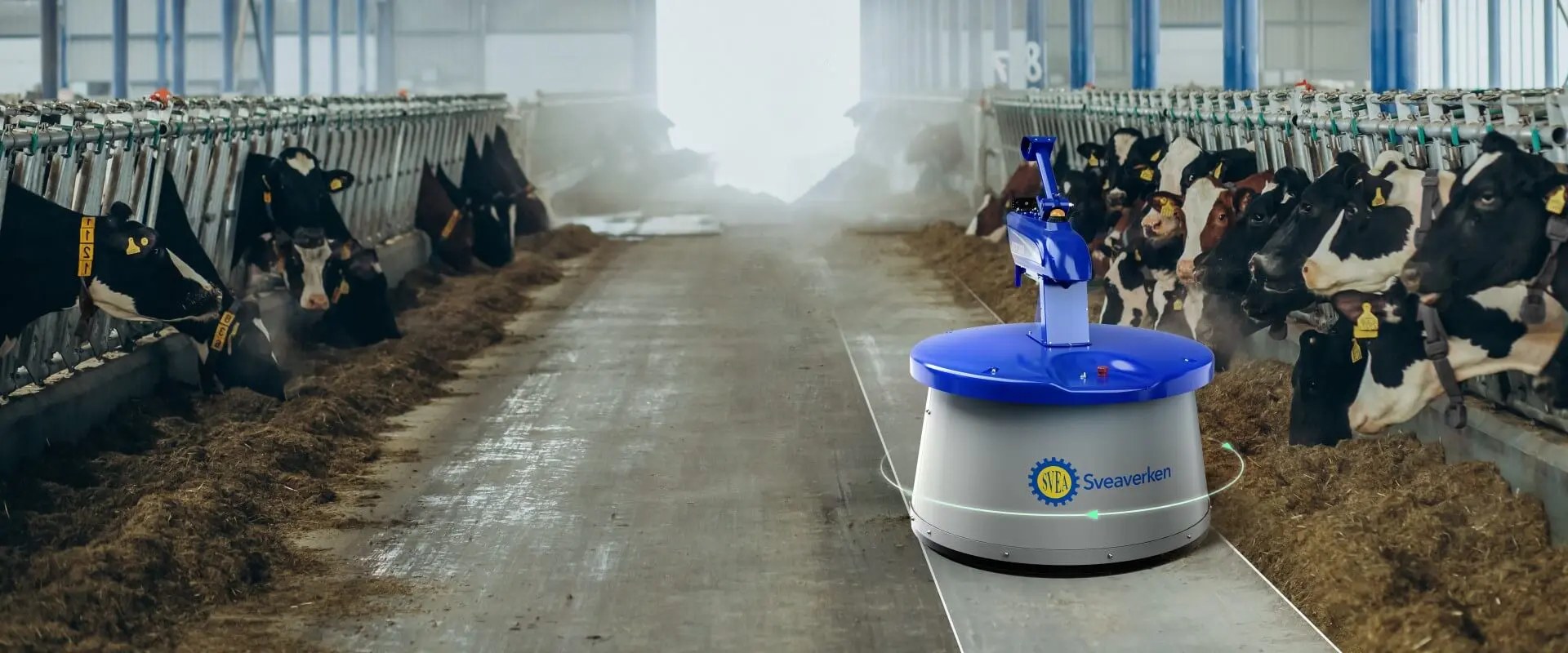 Robot do podgarniania paszy Sveaverken Nimbo na korytarzu paszowym obory
