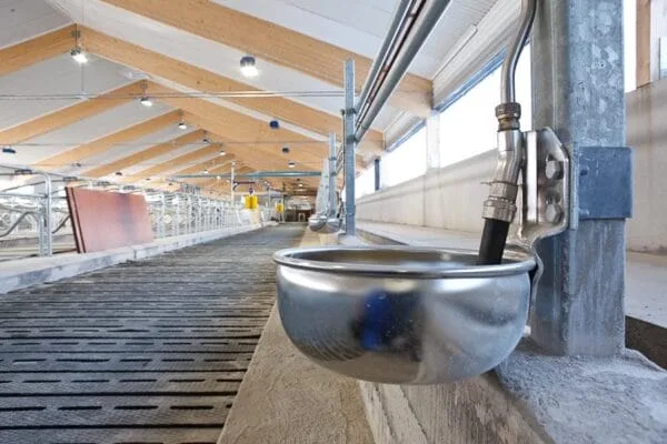 Poidło dla bydła - Nierdzewne - S22 - kompletne - 90602883 - DeLaval
