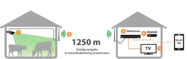 System monitoringu - FarmCam HD - 2 kamery - LudaFarm