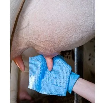 Ściereczka do wymion niebieska, 25 sztuk - 92065150 - DeLaval