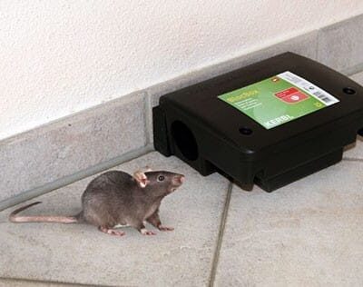 Karmnik deratyzacyjny na myszy - Peti - Kerbl