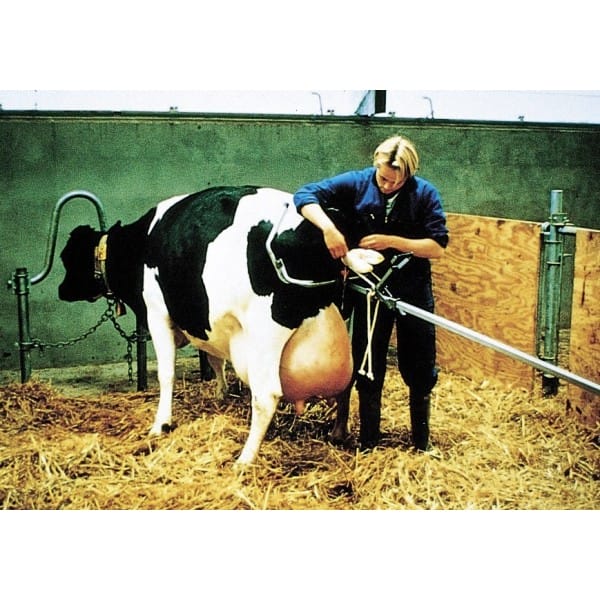 Wycielacz dla krów - przyrząd do wycieleń - wycielacz do krów - 160 cm - VINK 3