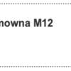 Nakrętka samohamowna M12 (do śruby nożyka)