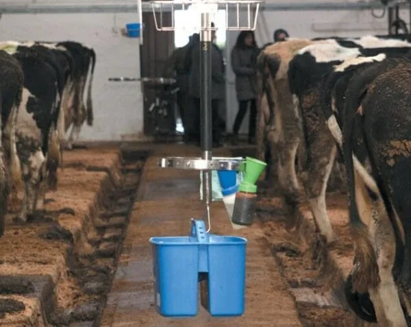 Wiadro dwukomorowe dla dojarza - Pojemnik dwudzielny - 10L - 97105002 - DeLaval