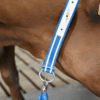 Obroża dla jałówek - 87284702 - DeLaval