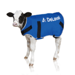 Ocieplacz dla cieląt - DERKA - duży (30-60kg) - 88267301 - DeLaval