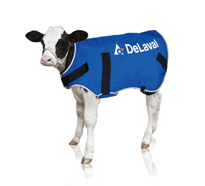 Ocieplacz dla cieląt - DERKA - duży (30-60kg) - 88267301 - DeLaval