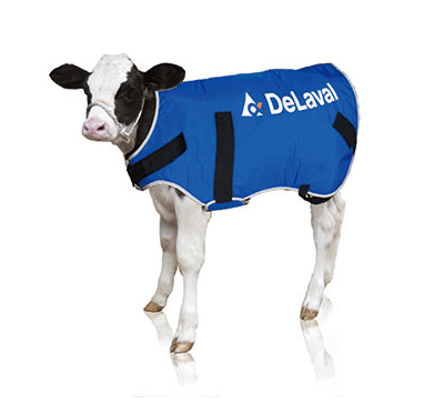 Ocieplacz dla cieląt - DERKA - mały (20-35kg) - 88267302 - DeLaval