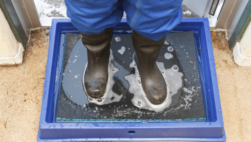 Peradis – Test skuteczności środka w celu dezynfekcji obuwia 1