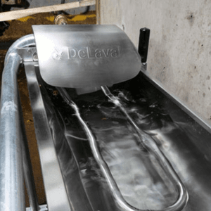 Poidło podłogowe ST250 - 88634580 - DeLaval