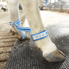 Pęto dla krów - 87651501 - DeLaval