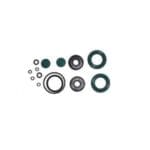 Zestaw uszczelek - DIABLO 1800 E - PACK.0619 - PACK.0619 DIABLO 1800 E-1 - CAMPAGNOLA