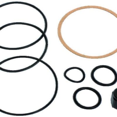 Zestaw uszczelek do pompy BP3000 - 256145 - PIUSI