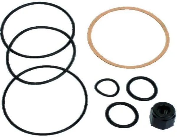 ZESTAW USZCZELEK DO POMPY BP3000 - 256145  - PIUSI
