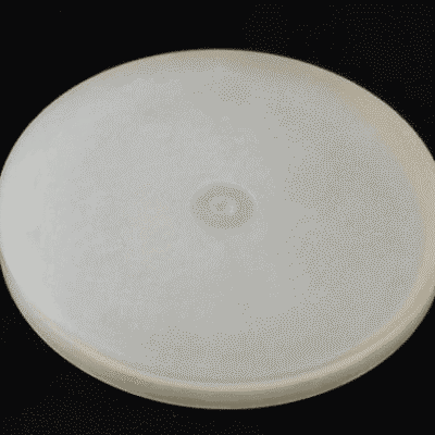 Przepona powietrznika - P-100 - AP20PP - 221193 - AGROPLAST