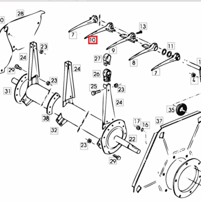 ZĄB HEDERU - 16053232 - SDF