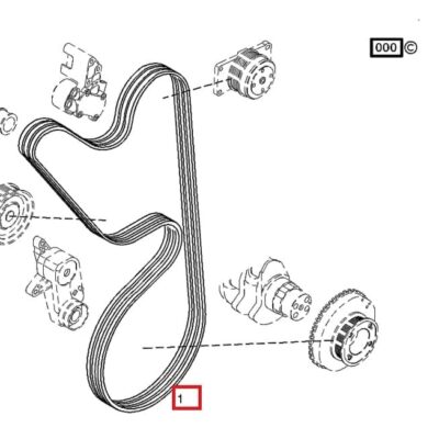 Pas wielorowkowy - 01183361 - SDF