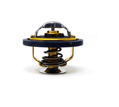 Termostat cieczy chłodzącej - 98463637 - CNH