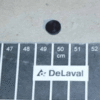 Korek DV - 96550201 - DELAVAL