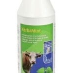 Krem pielęgnacyjny miętowy - 500ml - 15231 - KERBL