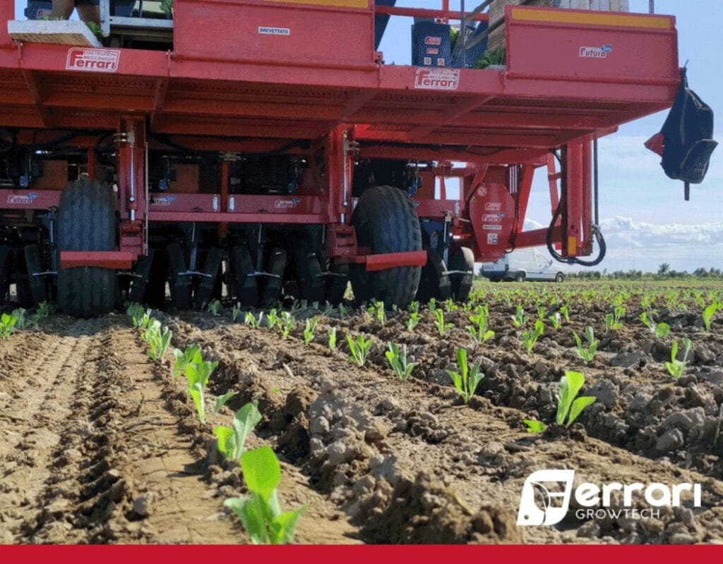 Sadzarki Ferrari - Rewolucja w Sadzeniu Roślin 1