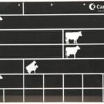 Tablica stanowiskowa - 40 x 30 cm - 10-5828 - CAN AGRI