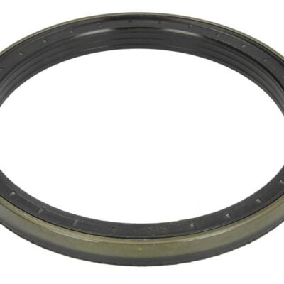 Uszczelniacz piasty koła - Simmering - 165x195x16,5/18 - 0.900.0115.6 - SDF