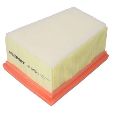 Filtr powietrza - AP185/1 - FILTRON
