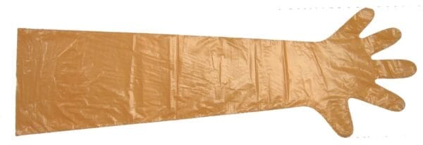 Rękawice weterynaryjne VETbasic - transparentne - 1szt. - 09-3106 - KERBL