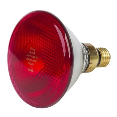 Promiennik par czerwony 175W - 802008FA - FARMA