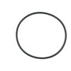 Pierścień Oring SDF Ø101.2×5.34 mm 2.1530.205.0