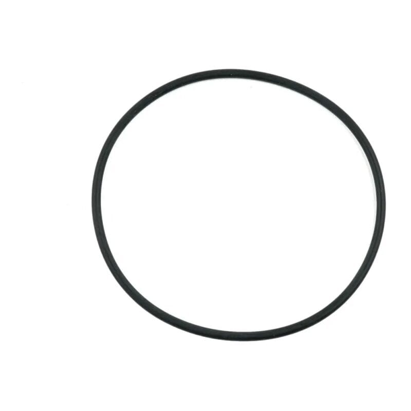 Pierścień Oring SDF Ø101.2×5.34 mm 2.1530.205.0