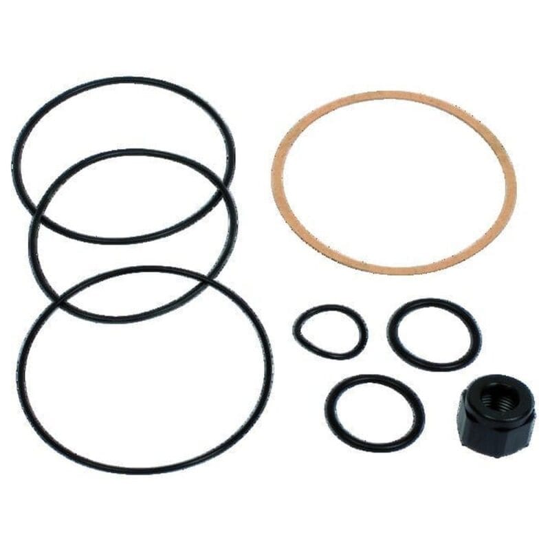 Zestaw uszczelek PIUSI 256145 do pompy BP3000
