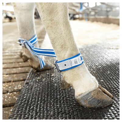 Peto na nogi DeLaval 87651501 — paskowe dla krow