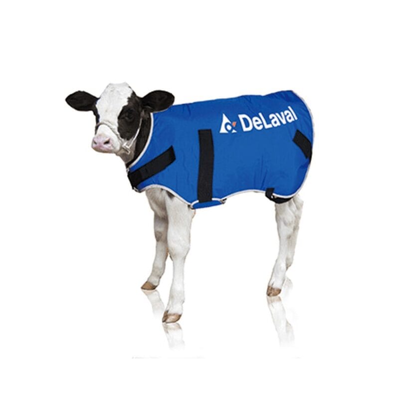 Ocieplacz dla cieląt DeLaval derka duży 30-60 kg